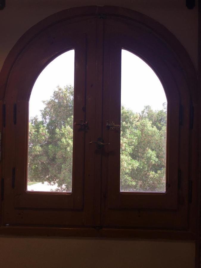 Dahab Home Bed&Breakfast Luaran gambar